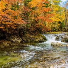 Three Day Trips for Fall Foliage