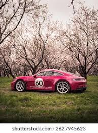Image result for Ruby Star 2025 Porsche