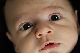 Cindy Lykins Photography