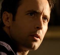 The Steve McGarrett Story