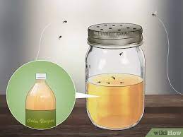 Maybe you would like to learn more about one of these? 4 Cara Untuk Membasmi Agas Wikihow