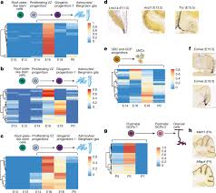 Childhood Cerebellar Tumours Mirror Conserved Fetal Transcriptional Programs Nature