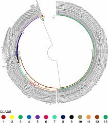 Is an important malaria vector primarily found in coastal landscapes of western and central indonesia. Plos One Genetic Population Subdivision Of The Blue Swimming Crab Portunus Pelagicus Across Indonesia Inferred From Mitochondrial Dna Implication To Sustainable Fishery