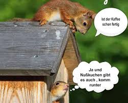 Schonen Nachmittag Bilder Im 2019 Mit lustigen sprüchen kann man einem schüler eine freude machen, der soeben sein abitur bestanden hat. schonen nachmittag bilder im 2019