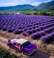 Malumunuz lavanta kokulu köy gezmek demek tarlalarda fotoğraf komasına girmeyi. Mehmet Tamer Elektronik Ingenieur Lemo Elektronik Gmbh Linkedin