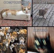 Spicy Memes For Your Daily Dose Of Dank In 2021 I Love Cats Like A Cat Cat S