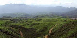 Jun 09, 2021 · desa malasari memiliki hamparan kebun teh bernama nirmala agung. Desa Wisata Malasari Tempat Wisata Alam Di Bogor Yang Terbaik