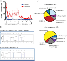 Track & locate your loved ones, pets & valuables anywhere, anytime with itraq's tiny, rechargeable gps+cellular+wifi global tracking device. Akap Signaling In Reinstated Cocaine Seeking Revealed By Itraq Proteomic Analysis Journal Of Neuroscience