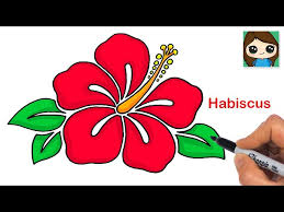 Image result for Hibiscus