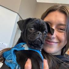 Bayside Animal Medical Center