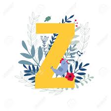 While zucchini is probably the most popular, others include zander, zapiekanka, zongzi, zuccotto, ziti and zitoni. Alphabet Letter Z In Floral Design With Flowers And Plants Vector Colorful Abc Element Royalty Free Cliparts Vectors And Stock Illustration Image 69009598