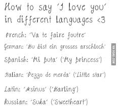It can be fun to say it in another language. How To Say I Love You In Different Languages 9gag