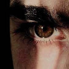 Pin By Kthdolls On Oc Brandon Lowe Brown Eyes Aesthetic Dark Brown Eyes Brown Aesthetic