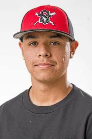 ALL-AREA BASEBALL: Bishop Amat's Scott Hurst, Andy Nieto sweep top awards