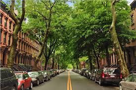 Maybe you would like to learn more about one of these? 58 South Portland Ave Apt 2 South Portland Fort Greene Brooklyn Brooklyn