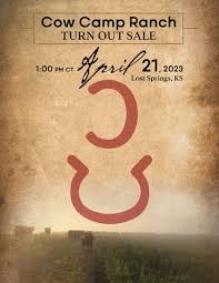 2023 Cow Camp Ranch Turn Out Sale by Julie Murnin