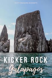 Snorkeling With Hammerheads At Kicker Rock On The Galapagos Islands San Cristobal Galapagos Galapagos Islands Galapagos