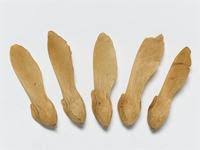 Image result for Securidaca longepedunculata