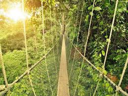 Accommodation chalet for 3 nights. Taman Negara Experience Mutiara Resort 2days 1night Malaysia Adventoro