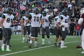 Ncaa division ii (with football). Mister Birdo 2018 Football Eastern New Mexico University Athletics
