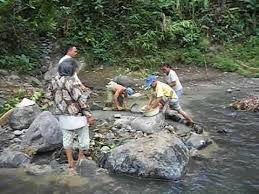 Maybe you would like to learn more about one of these? Cari Ikan Ketika Sungai Surut Hasilnya Lumayan By Jom Randuk
