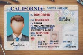 Pin On Drivers License California