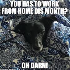 Friday Funny Are We Ready To Work From Home