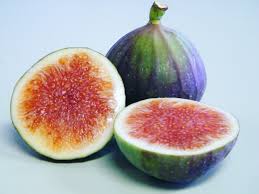 Image result for fig