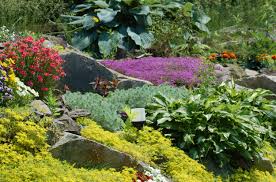 Vegetable gardens and most flowerbeds require at least 6 hours of full sun each day. 9 Things To Know About Starting A Garden From Scratch
