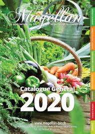 Calameo Cg Magellan 2020 Web