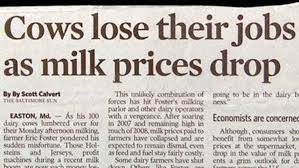 Cows Lose Their Jobs As Milk Prices Drop Bizarre News Newspaper Headlines Headlines