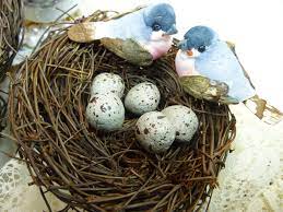 The balancing may take longer as the birds stay touching one another, and several \\kisses\\ might occur within a few moments. Parakeet Eggs From Fertilization To Hatching Guide 2021