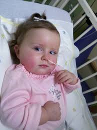 Dog's First Bath and Bonding Time with Brother