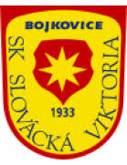 SK Slovacka Viktoria Bojkovice