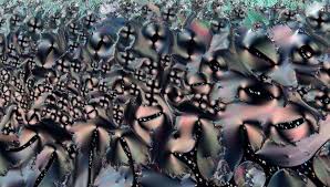 Image result for Polarized Microscopy