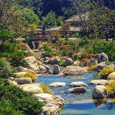 Japanese Friendship Garden In Balboa Park Japan Garden Japanesegarden Stream Bridge Plants Waterfeatur Japanese Garden Garden Landscaping Family Garden