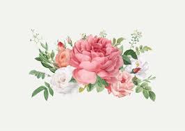 Gunakan bunga vektor png gratis ini untuk desain web, desain dtp, selebaran, proposal, proyek sekolah, poster, dan lainnya. Free Flower Vectors 379 000 Images In Ai Eps Format