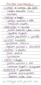 La Mia Agenda My Magic Diary Programmi Di Pulizia Faccende Domestiche Consigli Utili