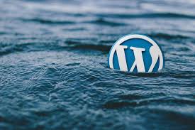 Divi by elegant themes · 4. 5 Best Amp Wordpress Plugins Don T Miss It Learnwoo