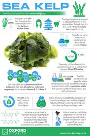 Here's the source for it. Sea Kelp Sea Kelp Supplements Sea Kelp Tablets Sea Kelp H Kelp Sea Supplements Tablets Holistic Nutrition Health And Nutrition Health Supplements