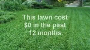 In fact, clover might be good for your lawn, since it requires less water, fertilizer, compost, herbicide, and weeding. How To Start And Grow Clover The Ecological Lawn Alternative Dengarden