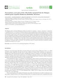 Image result for Otiophora lebruniana