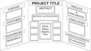 Middle School Science Fair Projects Display Board Layout Example 4 Jpg Science Fair Projects Boards Easy Science Fair Projects Science Project Board