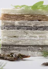 Biodesign Challenge Summit 2023 highlights student innovations in  biotechnology