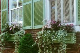 Plus la plante est grosse, et plus le pot doit être de. 12 Plantes Pour Une Jardiniere D Hiver