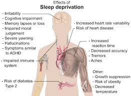 Sleep Debt Wikipedia