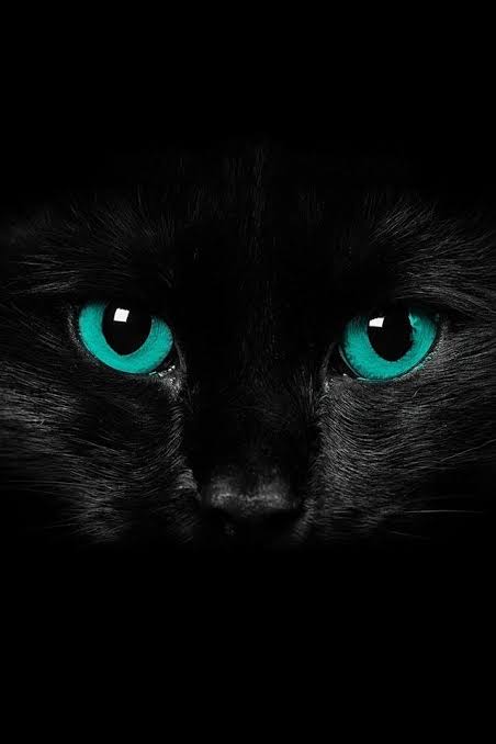 Mobil Duvar Ka��tlar�