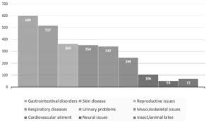 Image result for Menisorus pauciflorus