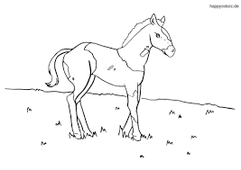 Druckbare malvorlage ausmalbilder pferde mit fohlen beste. Ausmalbilder Pferde Kostenlos Malvorlage Pferd