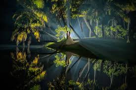 25 Of The Best Award Winning Wedding Photos Taken In 2014 Fun Wedding Photography Amazing Wedding Photos Romantic Wedding Photos